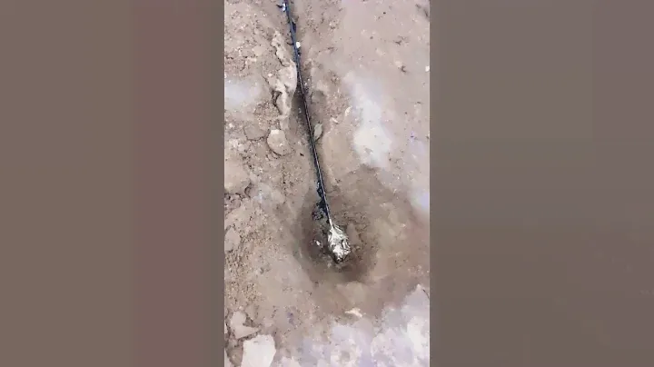 Модульное заземление с выводом шины.