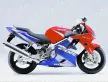 Пластик комплект для всего мотоцикла Honda CBR 600 F4i 2001