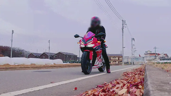 HONDA CBR250RR MC51 MORIWAKI モリワキ slip on exhaust sound ※イヤホン推奨