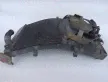 Радиатор охлаждения Honda CBR 600 F4i 2001-4